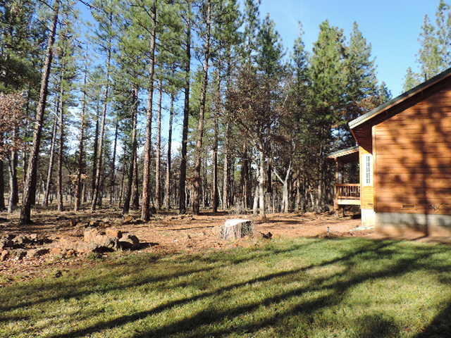 21544 Rattlebush Road Cassel, CA 96016 - Photo 9 of 50 DSCN7121