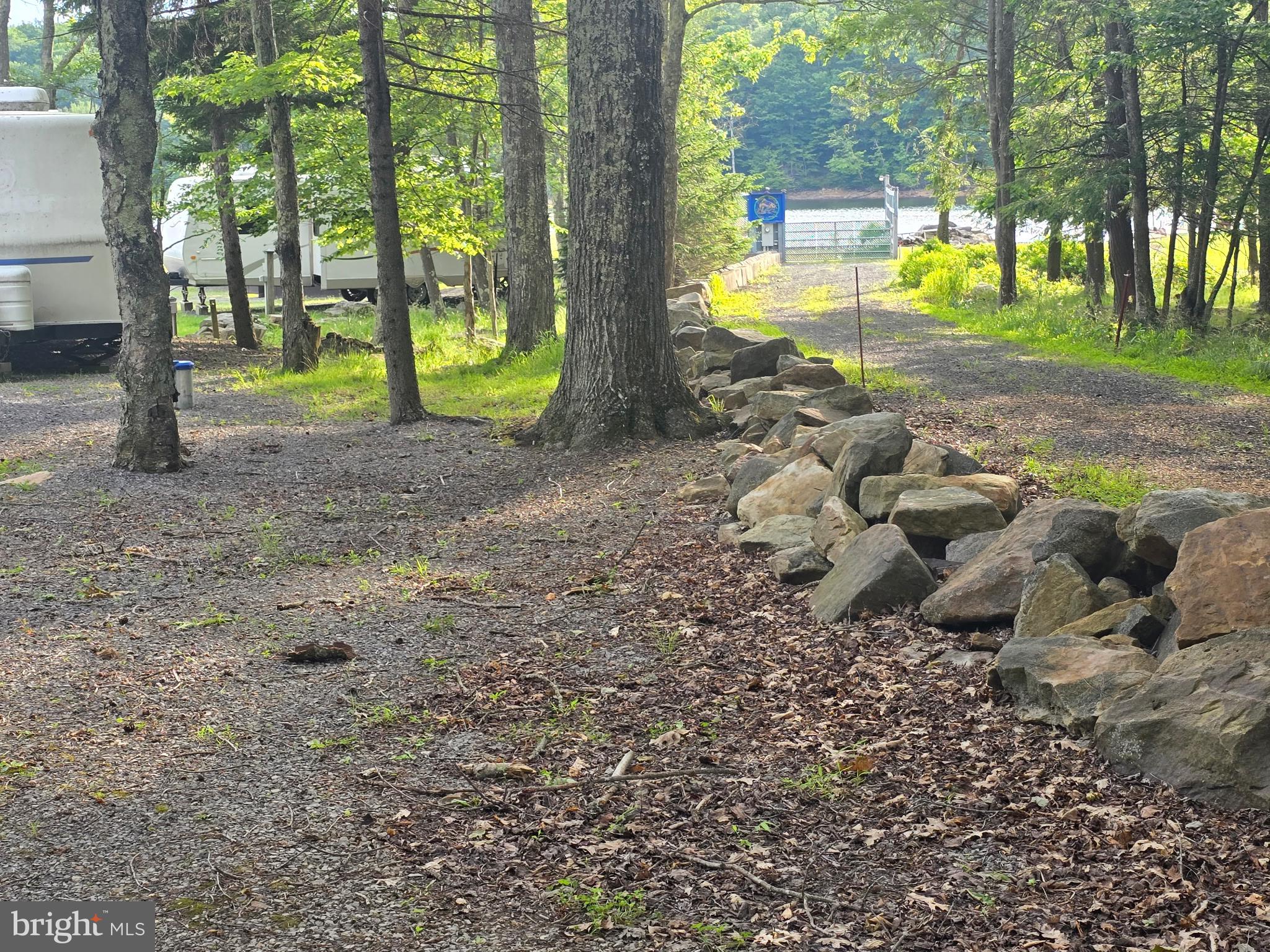 700 Paul Stahl Road Mount Storm, WV 26739 - Photo 11 of 31 Serene pathway through the woods.