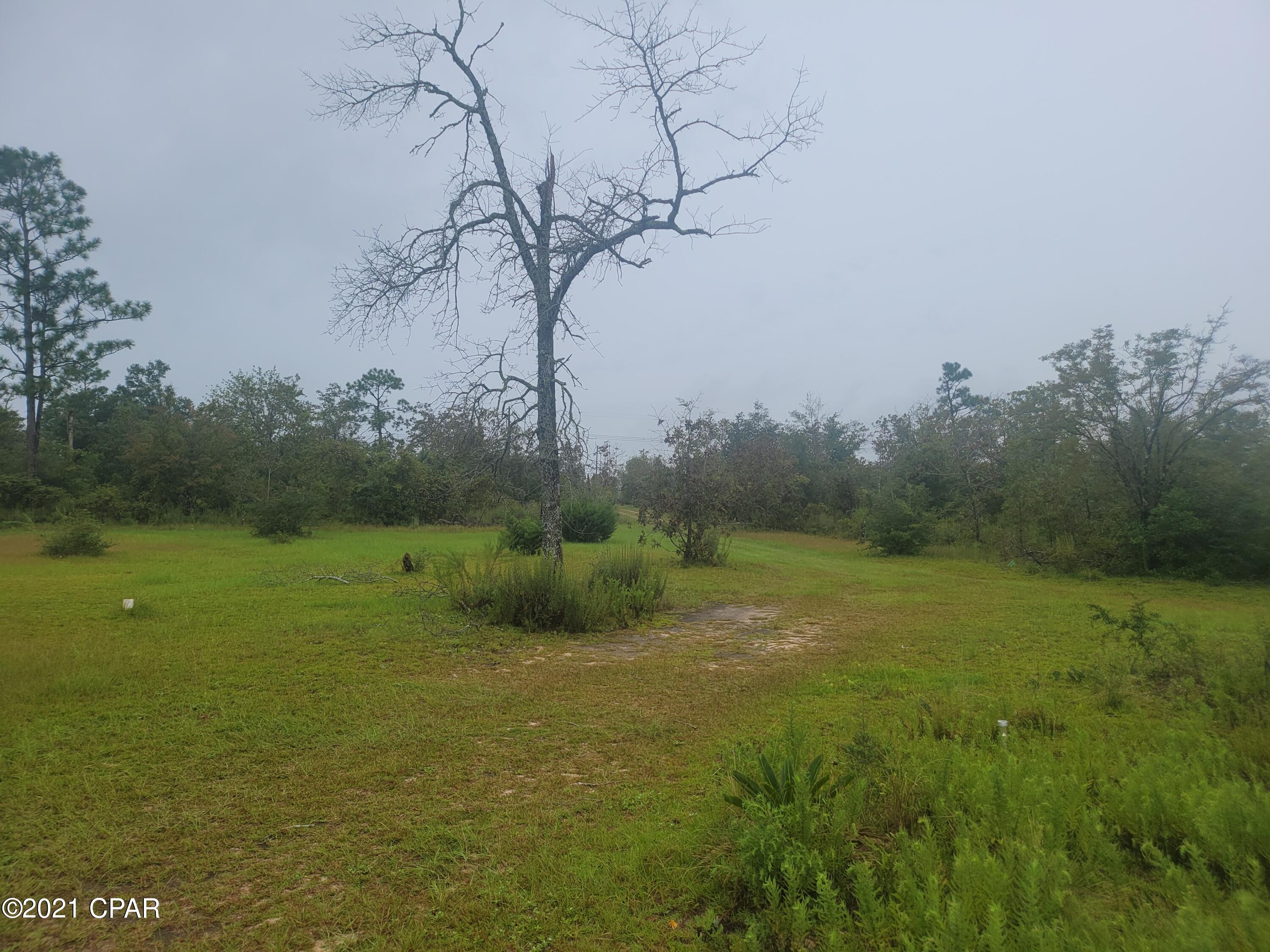 3265 Orange Hill Road Chipley, FL 32428 - Photo 20 of 20 Gallery Image 20