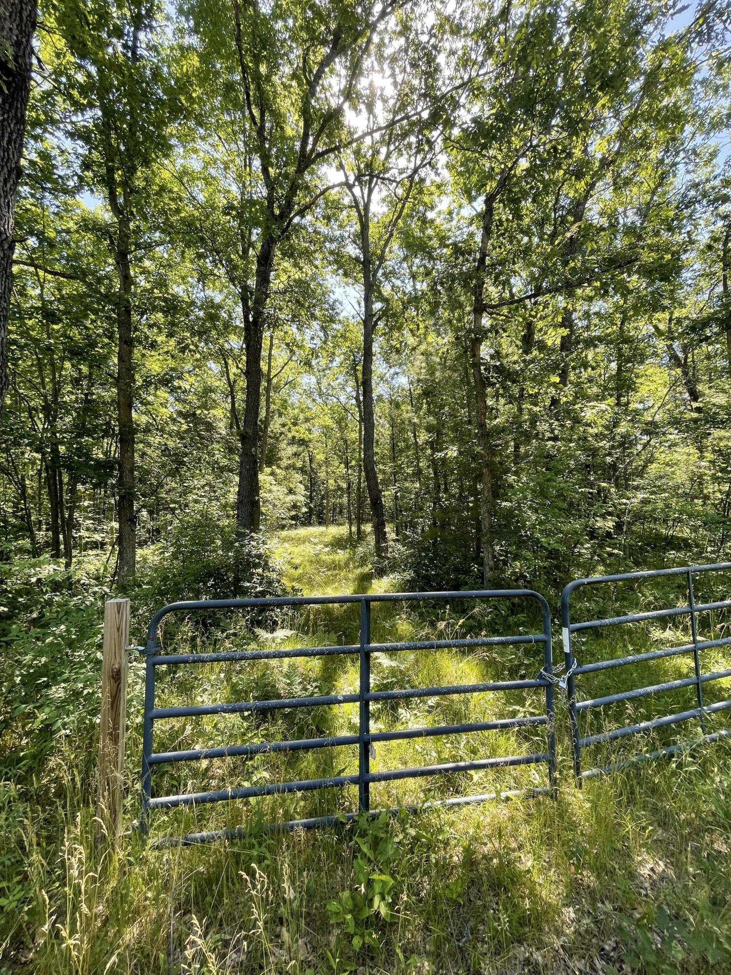 0 South Baker Road Wellston, MI 49689 - Photo 2 of 8 3185D590-7436-4D19-8F58-B32B8ADC8209