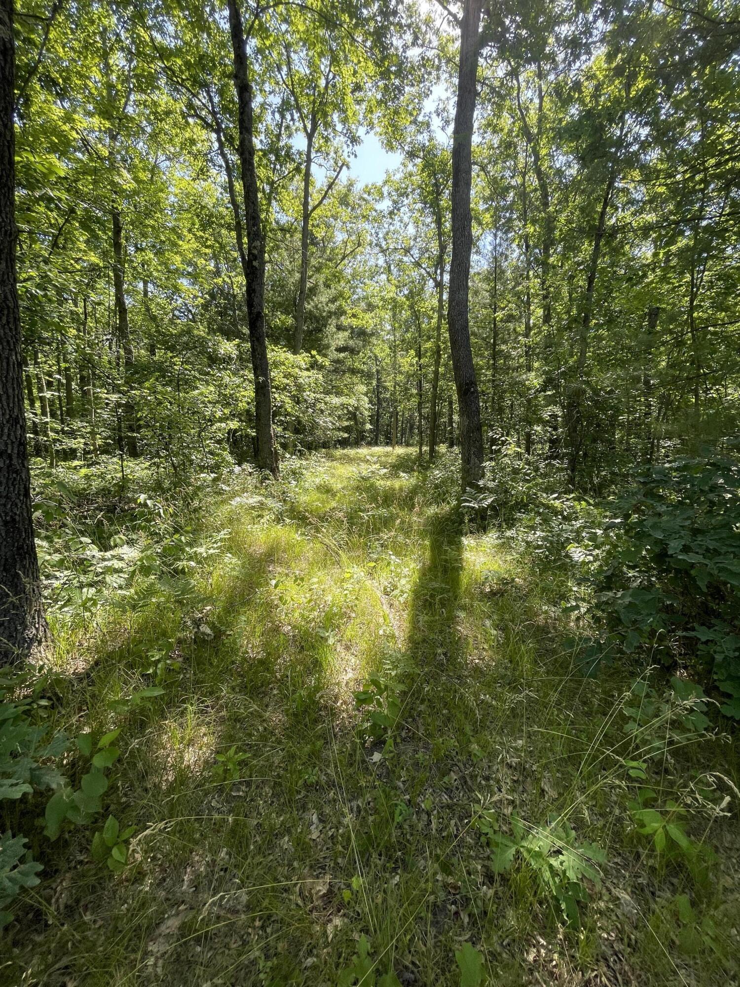 0 South Baker Road Wellston, MI 49689 - Photo 3 of 8 1270FDBD-F242-43FB-A5C7-038007566E46