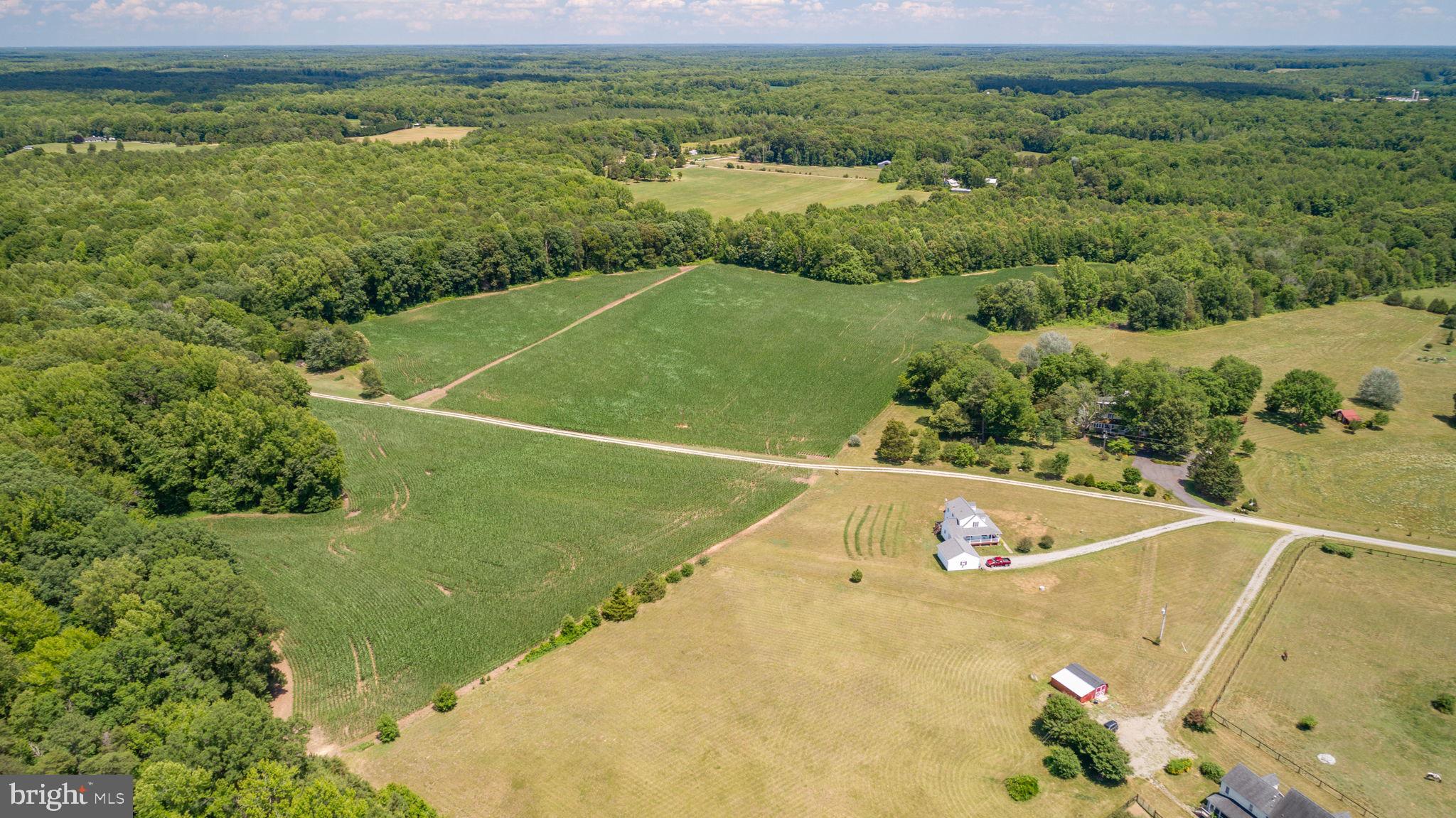17254 Summer Meadow Road Beaverdam, VA 23015 - Photo 41 of 43 View