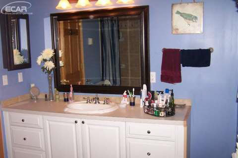 15391 South Duffield Road Byron, MI 48418 - Photo 20 of 29 20437787-19.JPG
