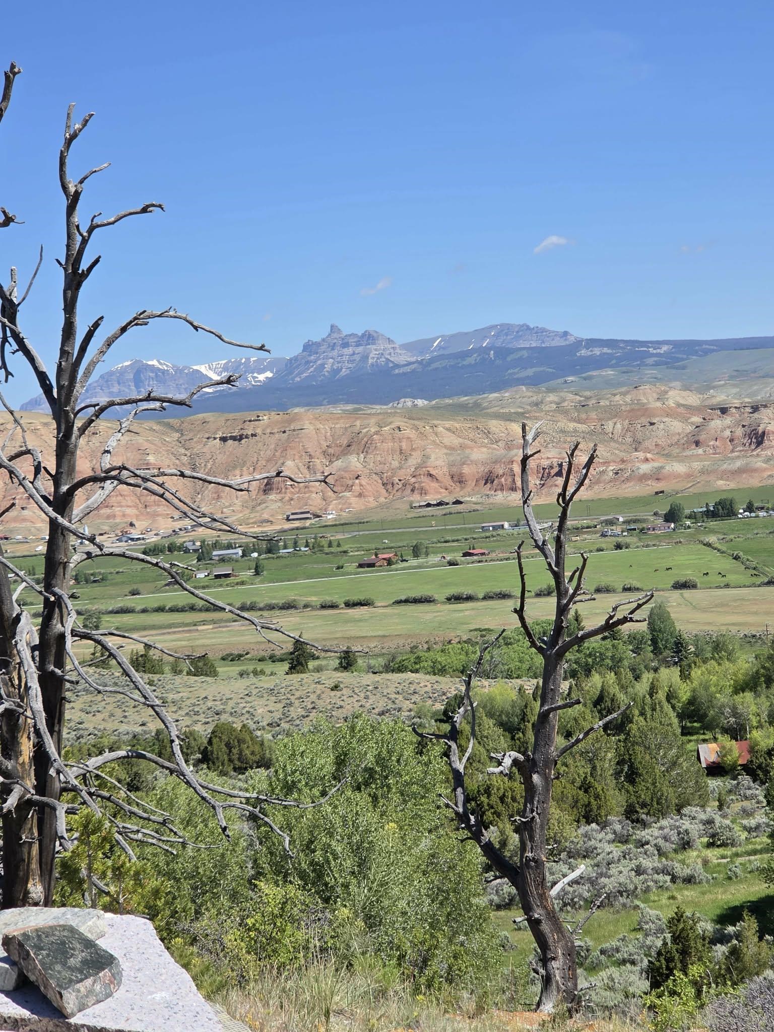 183 Bald Mountain Road Dubois, WY 82513 - Photo 6 of 48