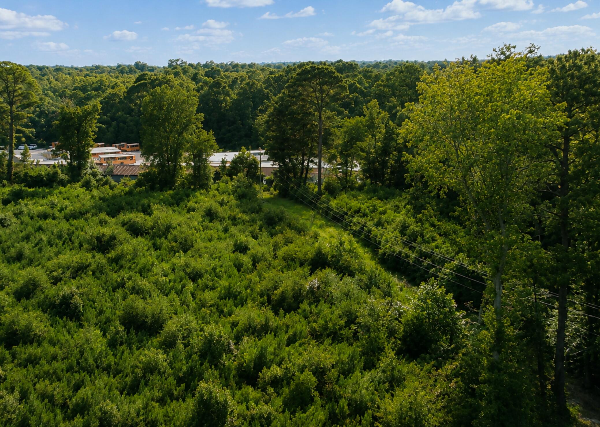 0 Whitesville Road Moncks Corner, SC 29461 - Photo 1 of 13 Area View