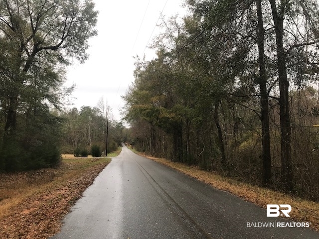 23588 Old Weekley Road Bay Minette, AL 36507 - Photo 9 of 30 Western Edge of Property