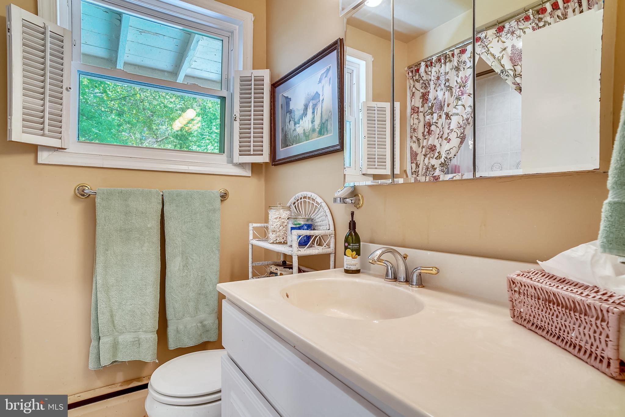 23530 Whites Ferry Road Dickerson, MD 20842 - Photo 28 of 73 Owner's Bath