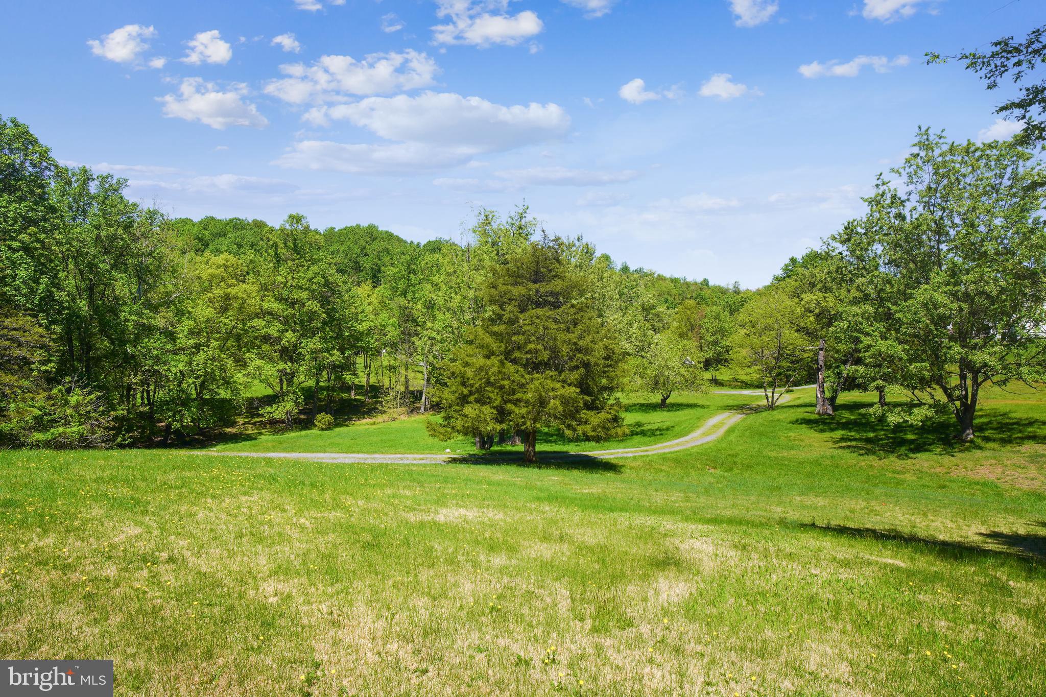 23530 Whites Ferry Road Dickerson, MD 20842 - Photo 49 of 73 Yard