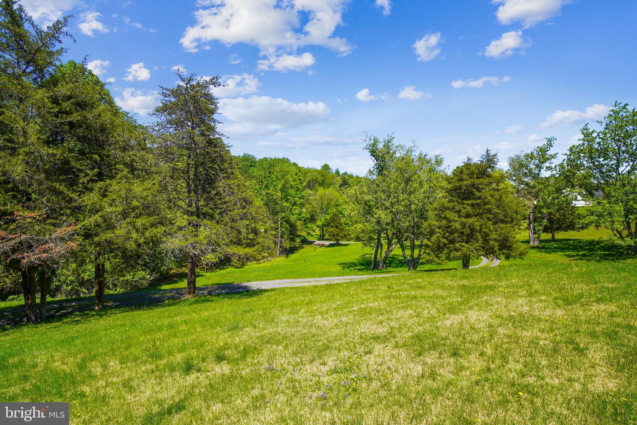 23530 Whites Ferry Road Dickerson, MD 20842 - Photo 50 of 73 Yard