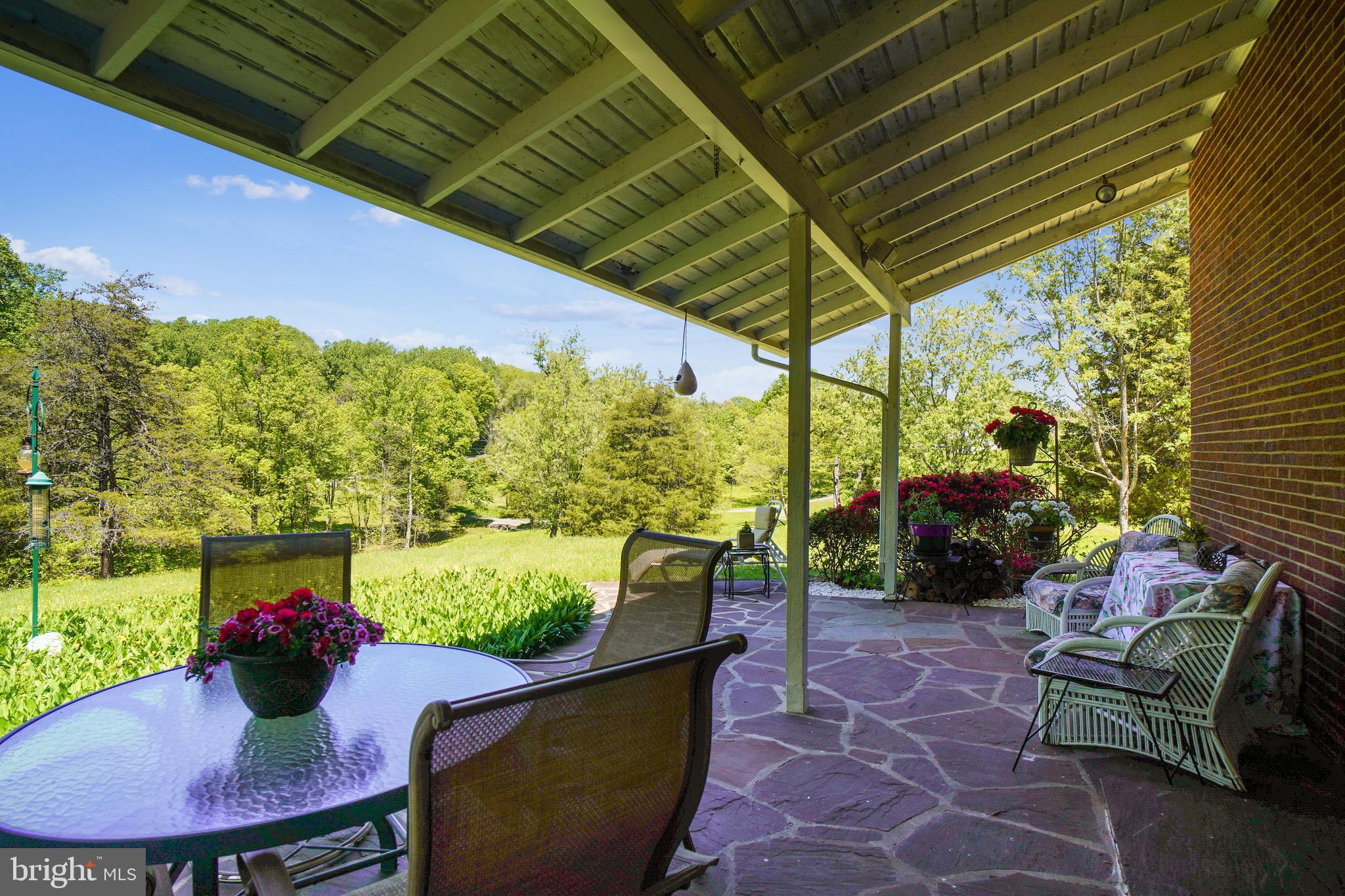 Rear Patio