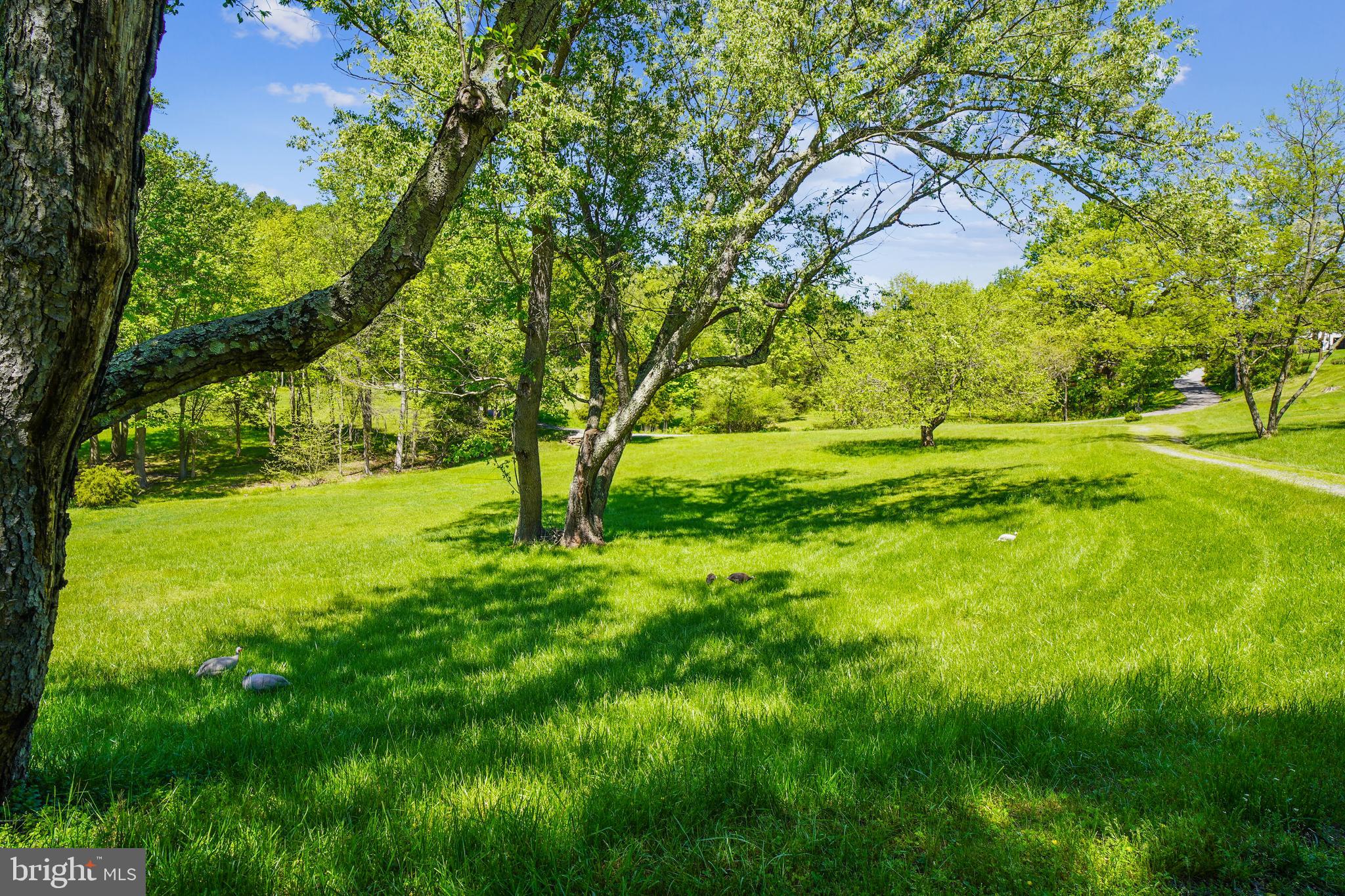 23530 Whites Ferry Road Dickerson, MD 20842 - Photo 56 of 73 Yard