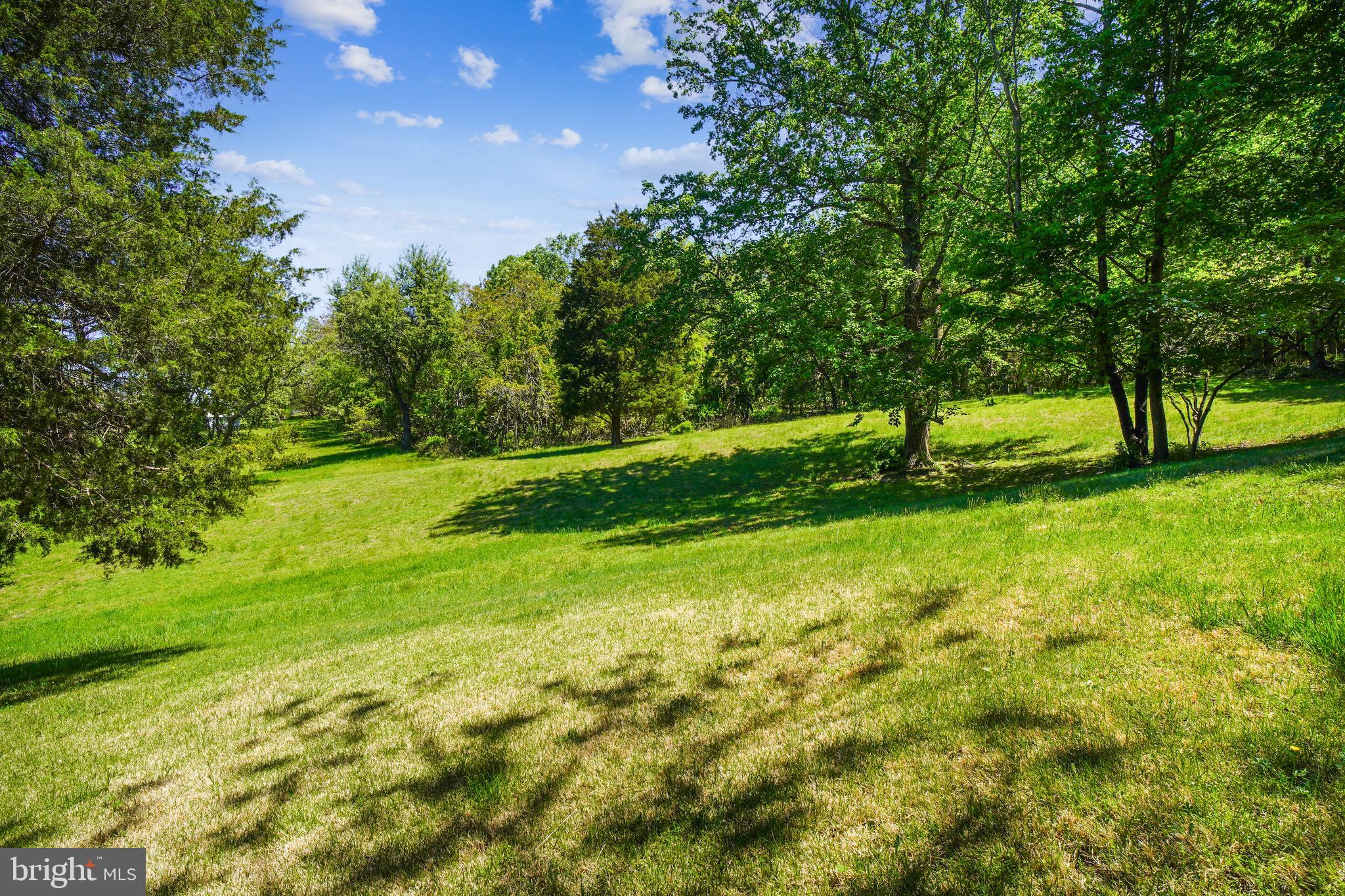 23530 Whites Ferry Road Dickerson, MD 20842 - Photo 57 of 73 Yard