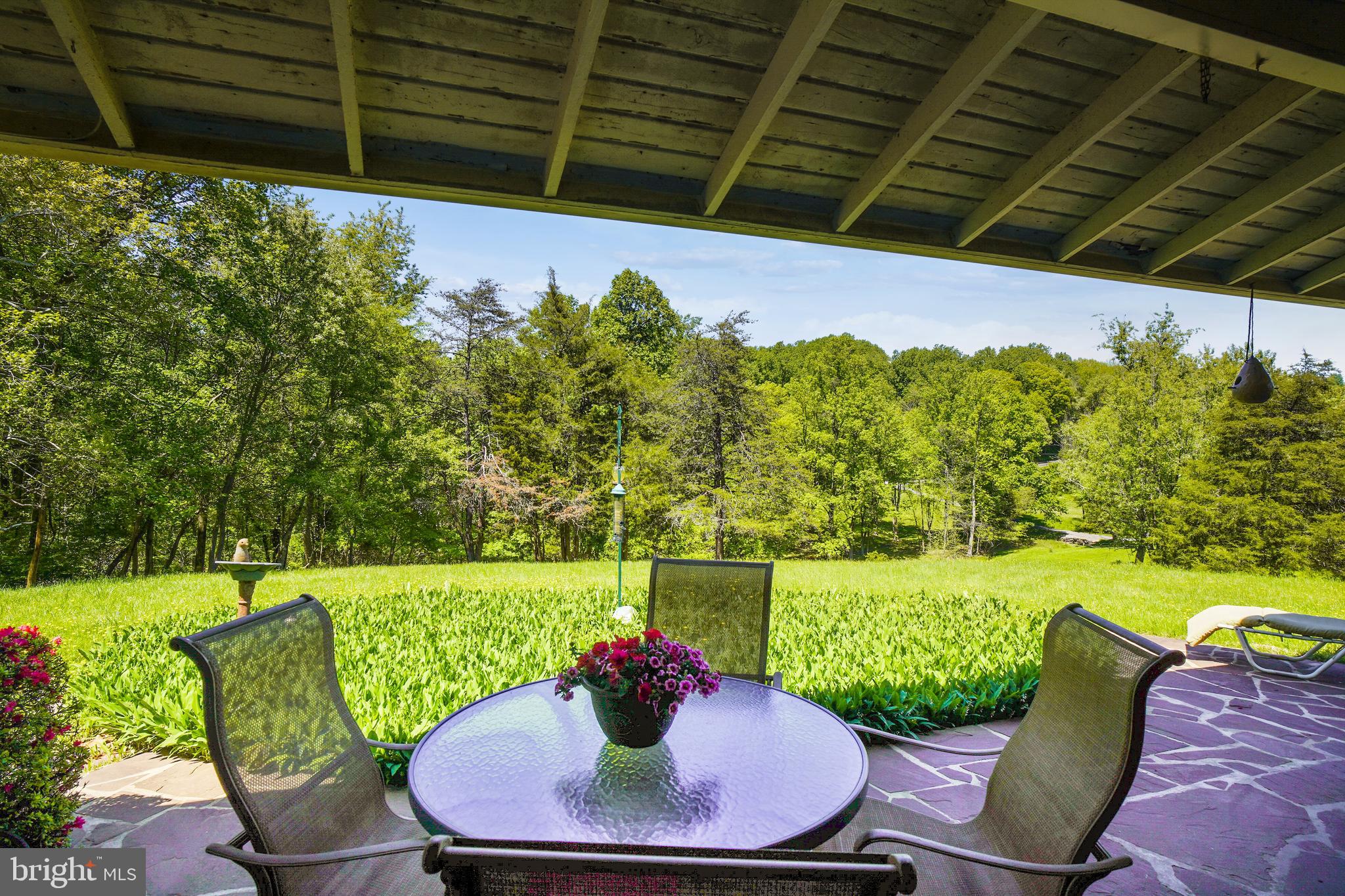 Rear Patio