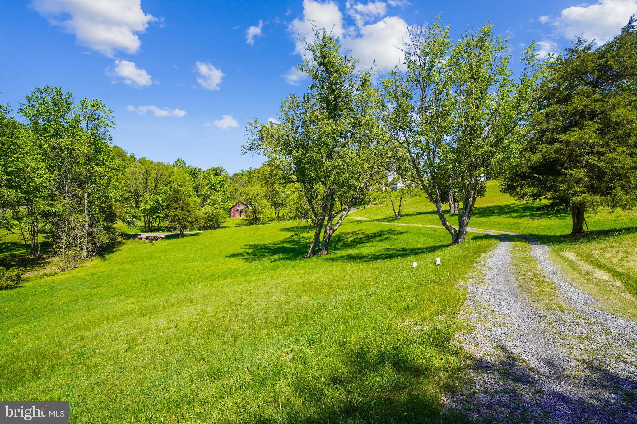 23530 Whites Ferry Road Dickerson, MD 20842 - Photo 66 of 73 Driveway