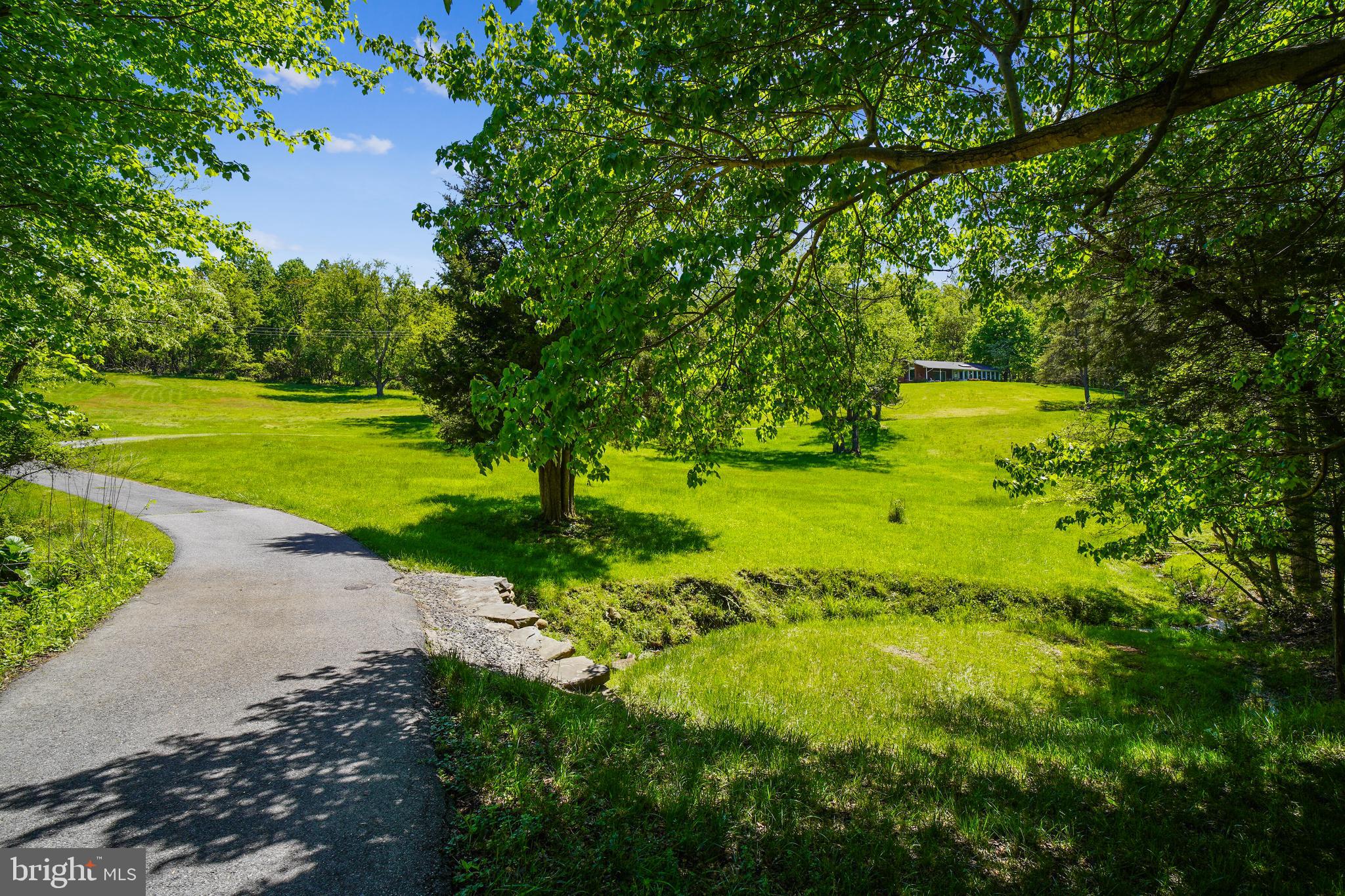 23530 Whites Ferry Road Dickerson, MD 20842 - Photo 67 of 73 Driveway