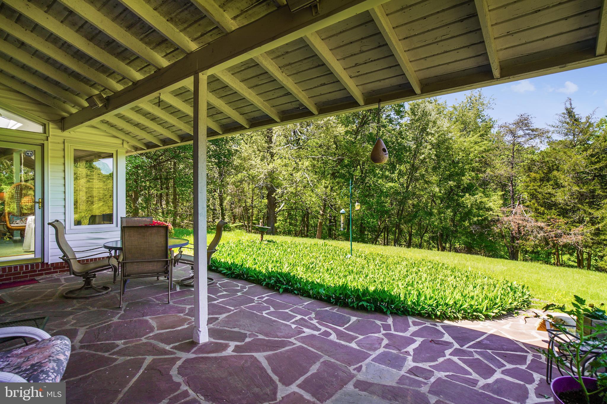 Rear Patio