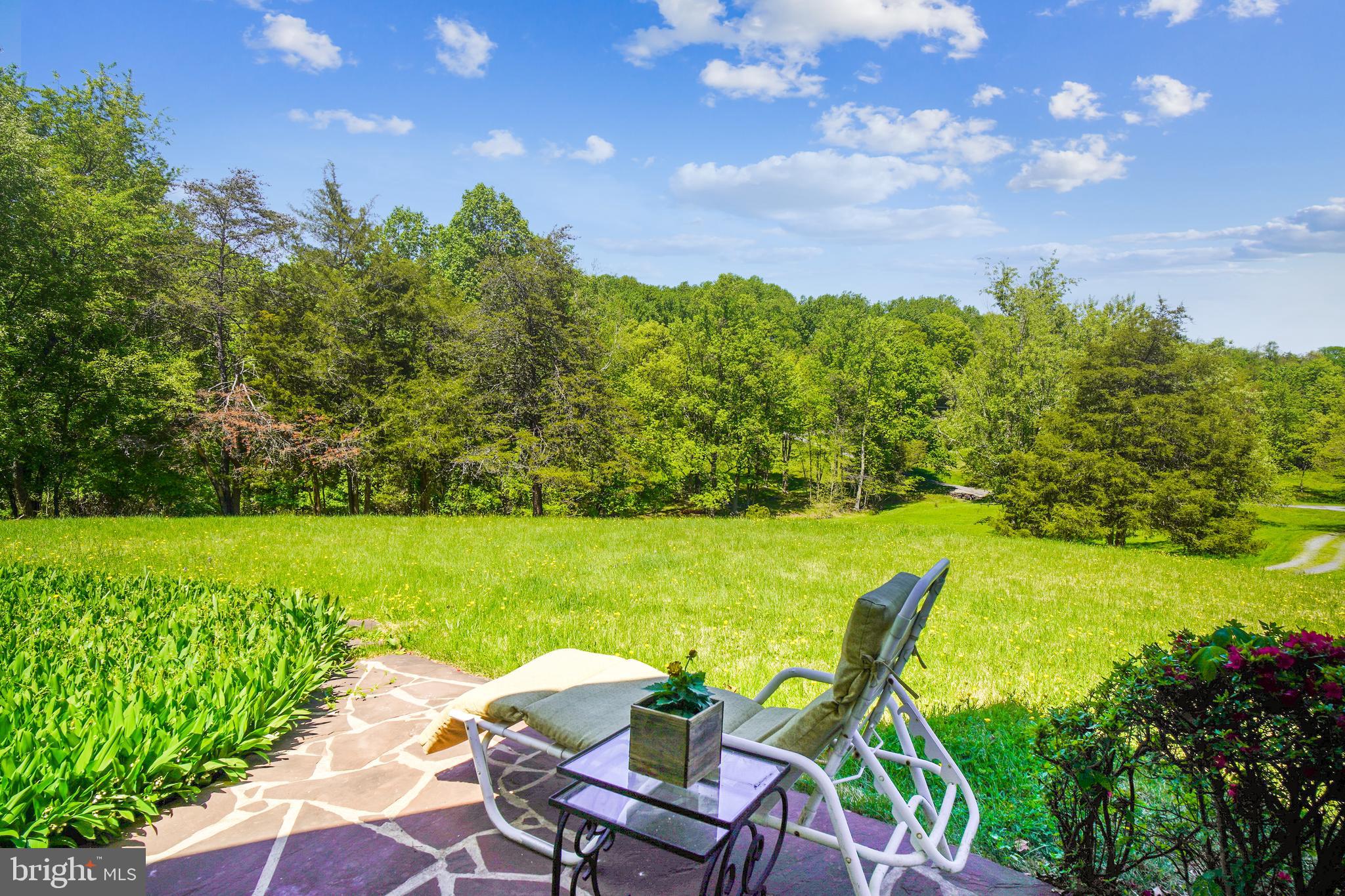 23530 Whites Ferry Road Dickerson, MD 20842 - Photo 8 of 73 Rear Patio