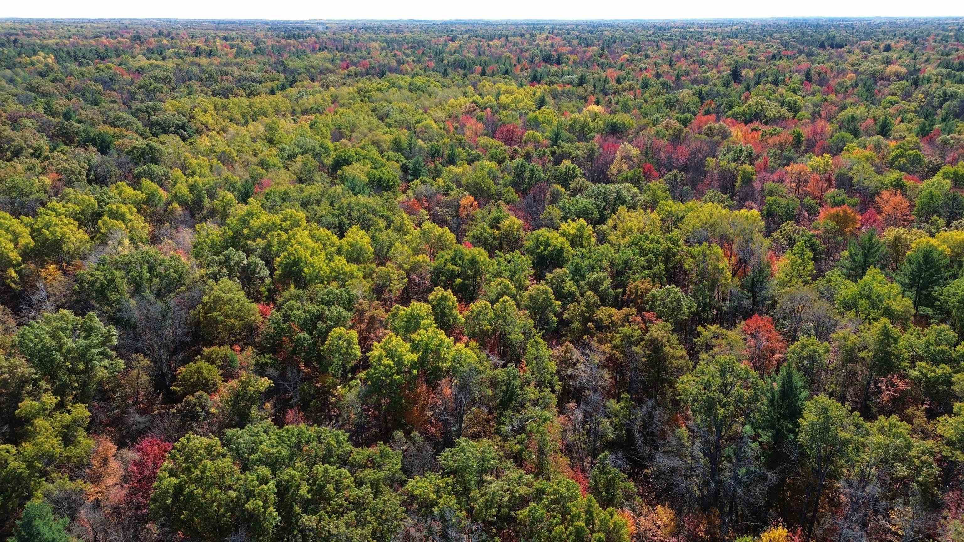 0 Timber Trail Prescott, MI 48756 - Photo 17 of 44