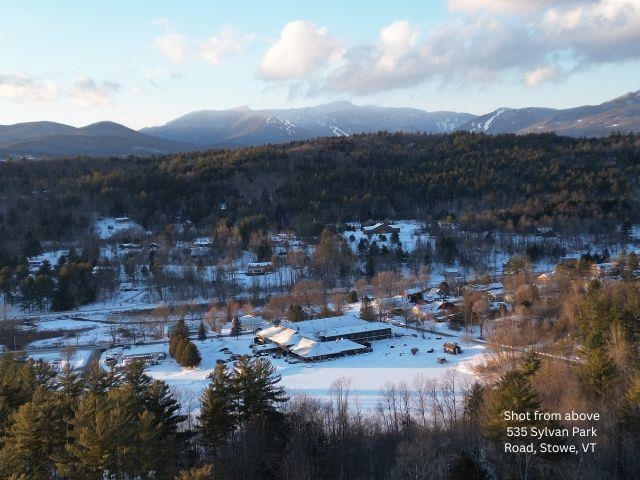 535 Sylvan Park Road, Unit A Stowe, VT 05672 - Photo 40 of 46