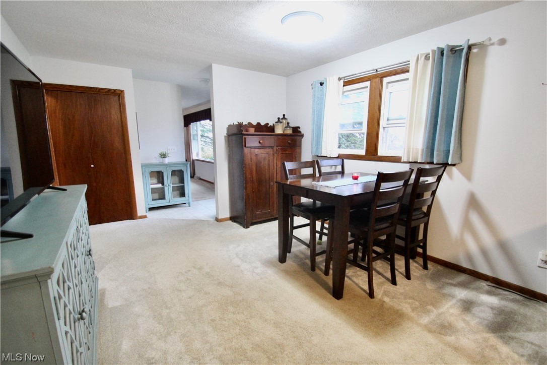 9818 Guilford Road Seville, OH 44273 - Photo 11 of 28 Dining area with light colored carpet, a textured ceiling, and a healthy amount of sunlight