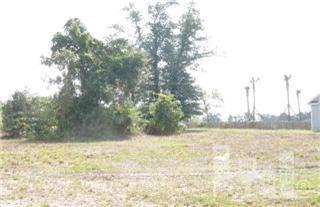 0 Shandy Way Hampstead, NC 28443 - Photo 1 of 1 Primary Photo