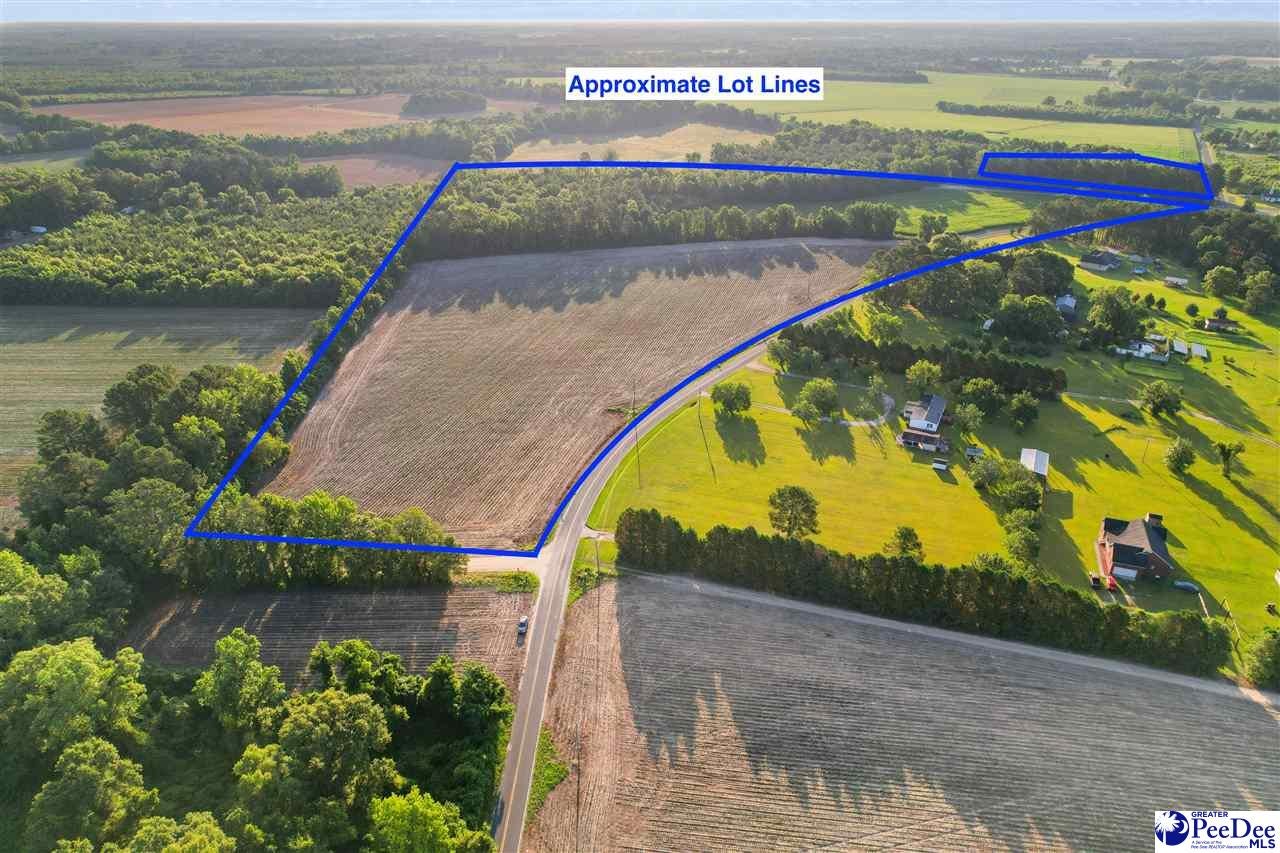 Lot 1-tbd Windham Town Road Lamar, SC 29069 - Photo 3 of 12 Gallery Image 3