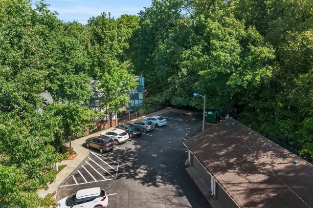 a view of a lush green forest with a houses