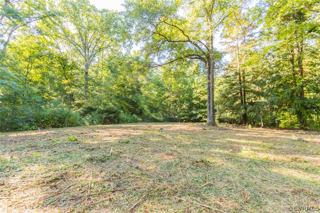 a view of a yard with a tree