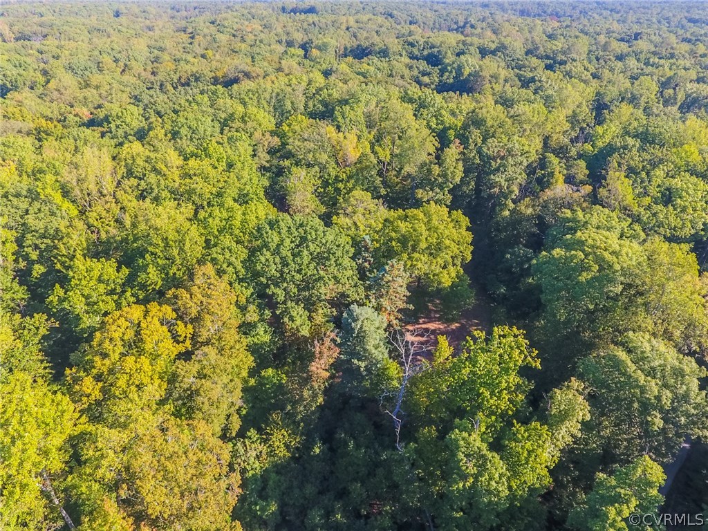 3100 Old Gun Road West Midlothian, VA 23113 - Photo 11 of 15 a view of a yard with plants
