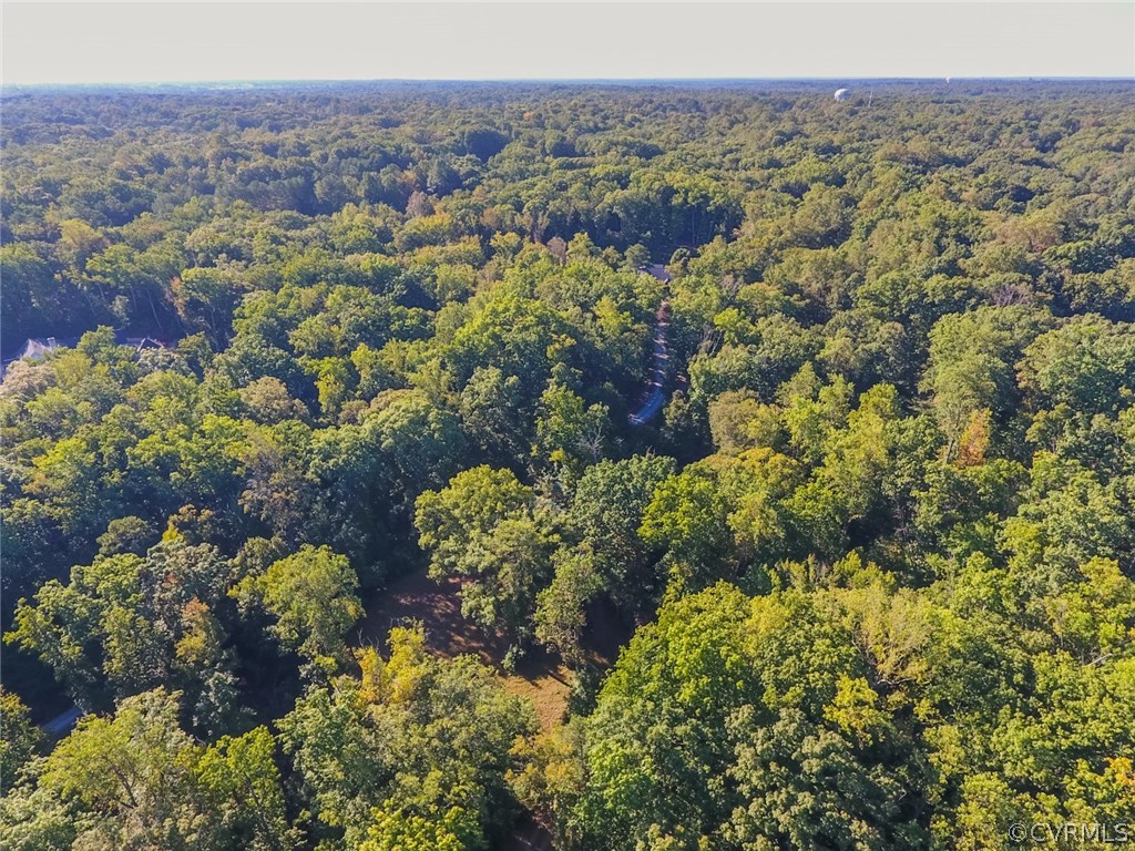 3100 Old Gun Road West Midlothian, VA 23113 - Photo 12 of 15 a view of a bunch of flowers