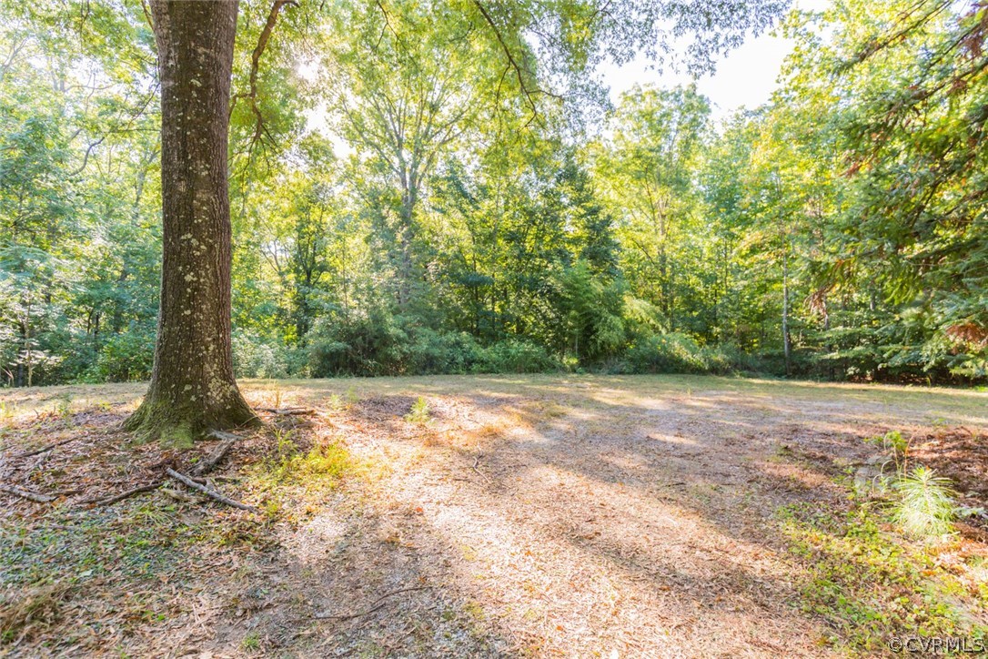 3100 Old Gun Road West Midlothian, VA 23113 - Photo 4 of 15 a view of a yard with a tree