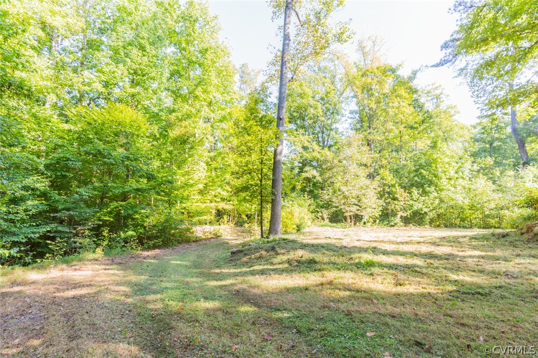 3100 Old Gun Road West Midlothian, VA 23113 - Photo 5 of 15 a view of a yard with large trees