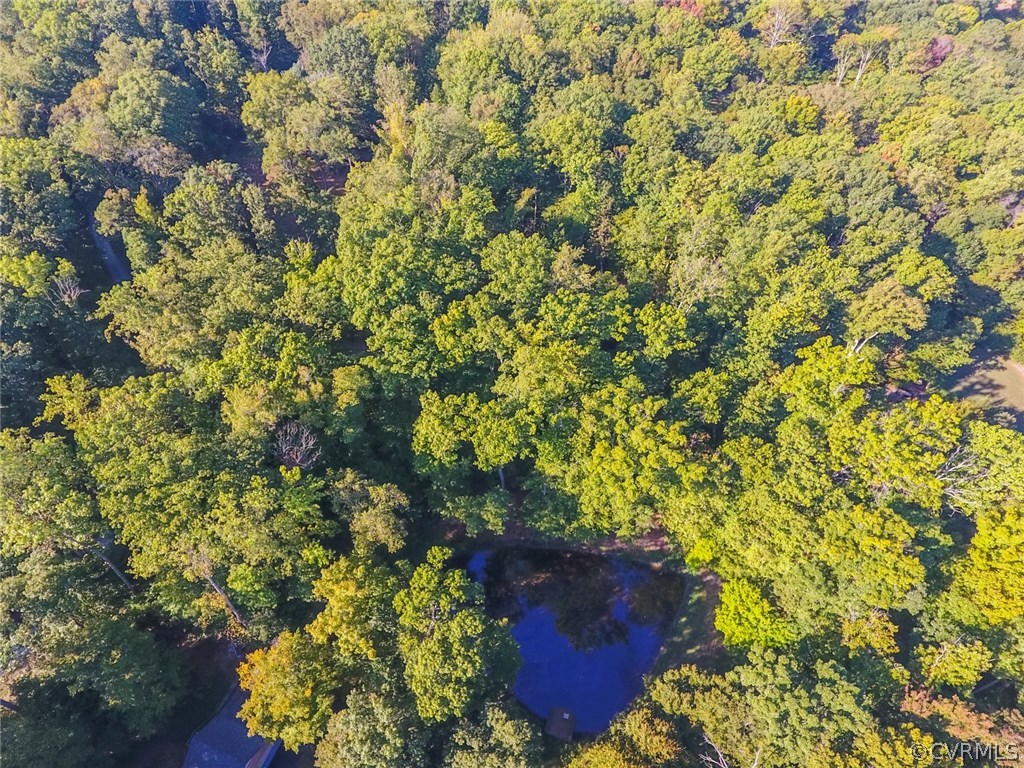 3100 Old Gun Road West Midlothian, VA 23113 - Photo 10 of 15 a view of a tree with a yard