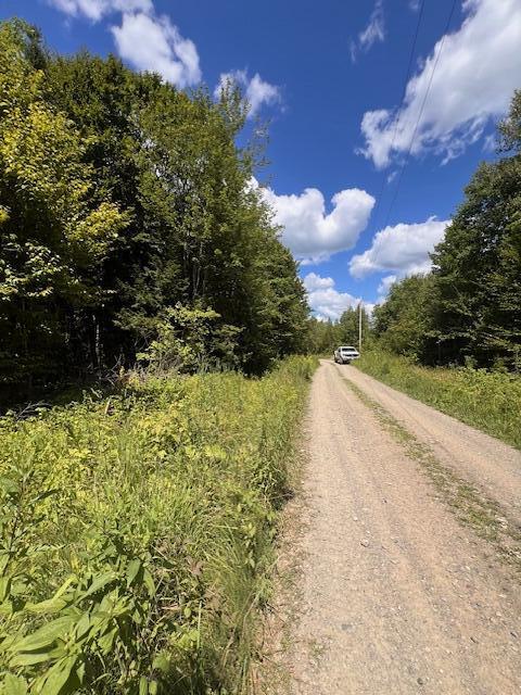 Lot 35 Woodland Ridge Road Danforth, ME 04424 - Photo 14 of 17
