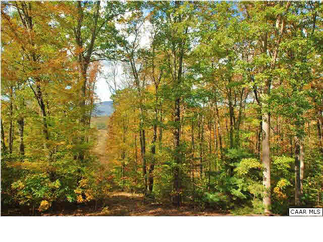 656 Broad Axe Road Charlottesville, VA 22903 - Photo 9 of 9 just relax and enjoy the view!
