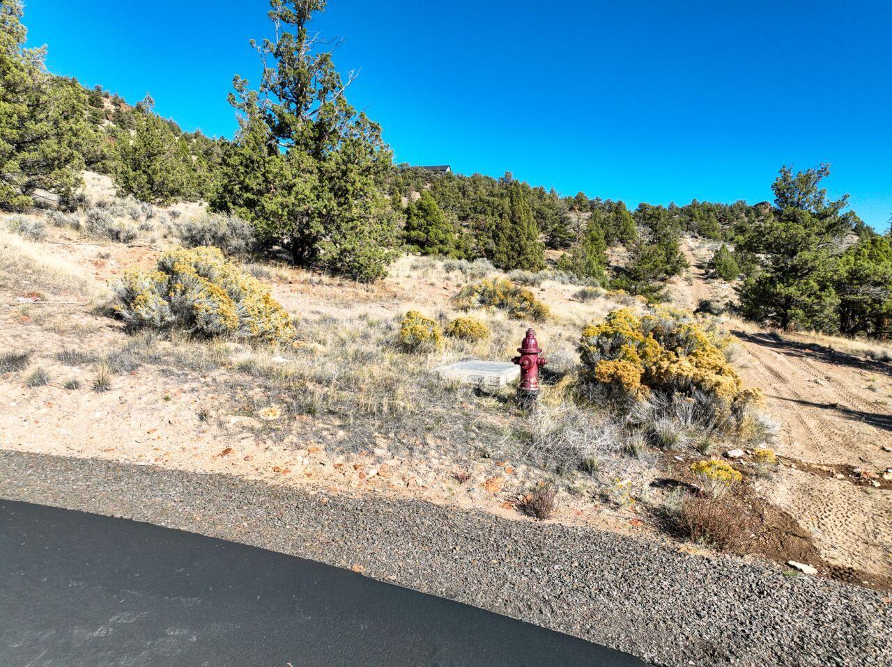 10081 Pavati Road, Unit LOT 35 Prineville, OR 97754 - Photo 9 of 23 photos_web_resolution_DJI_0026
