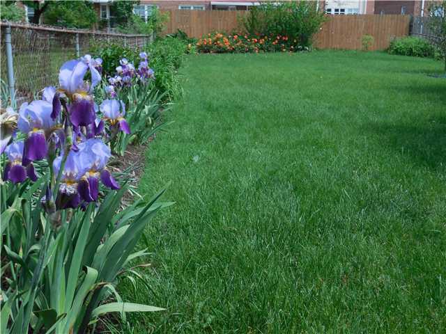 46 Chase Road Columbus, OH 43214 - Photo 20 of 20 Gallery Image 20