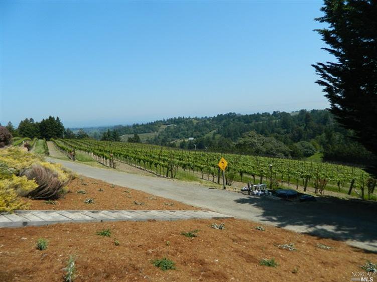 201 Jonive Road Sebastopol, CA 95472 - Photo 1 of 1 a view of a road with a yard
