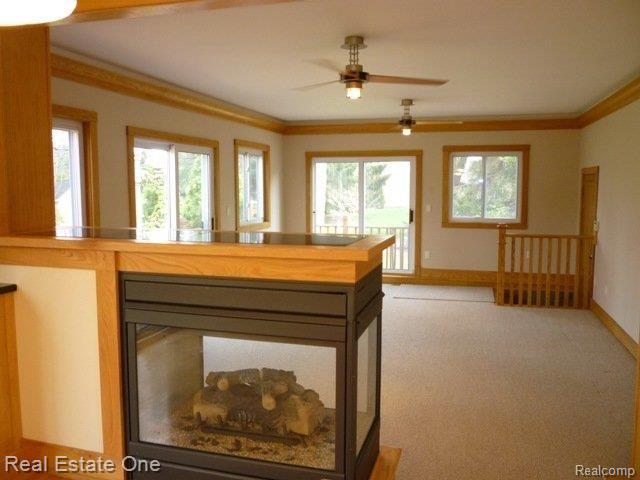 29200 Spring Farmington, MI 48334 - Photo 10 of 20 2-Way Fireplace