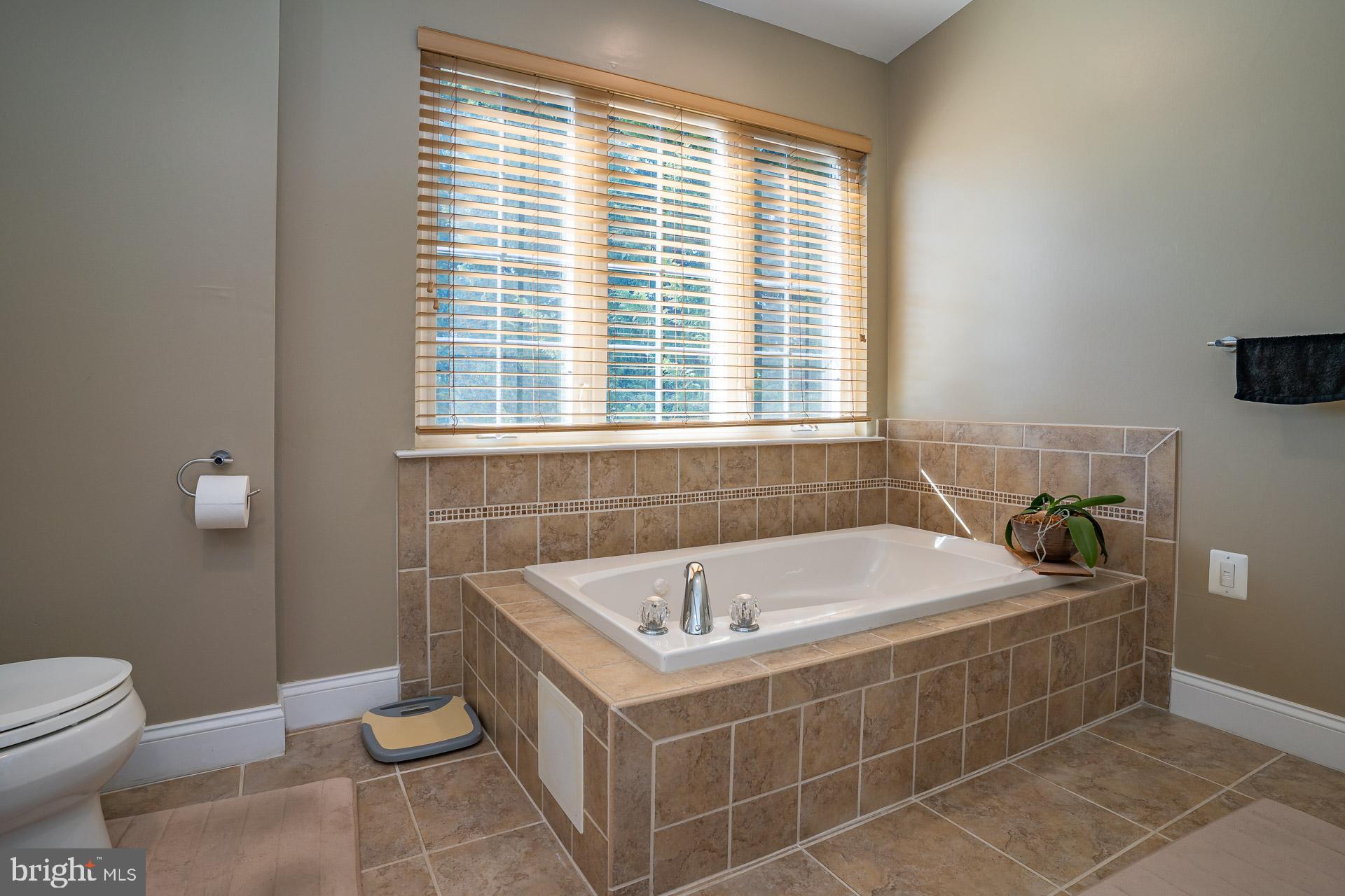 99 Cedarcroft Road Kennett Square, PA 19348 - Photo 18 of 39 Whirlpool tub