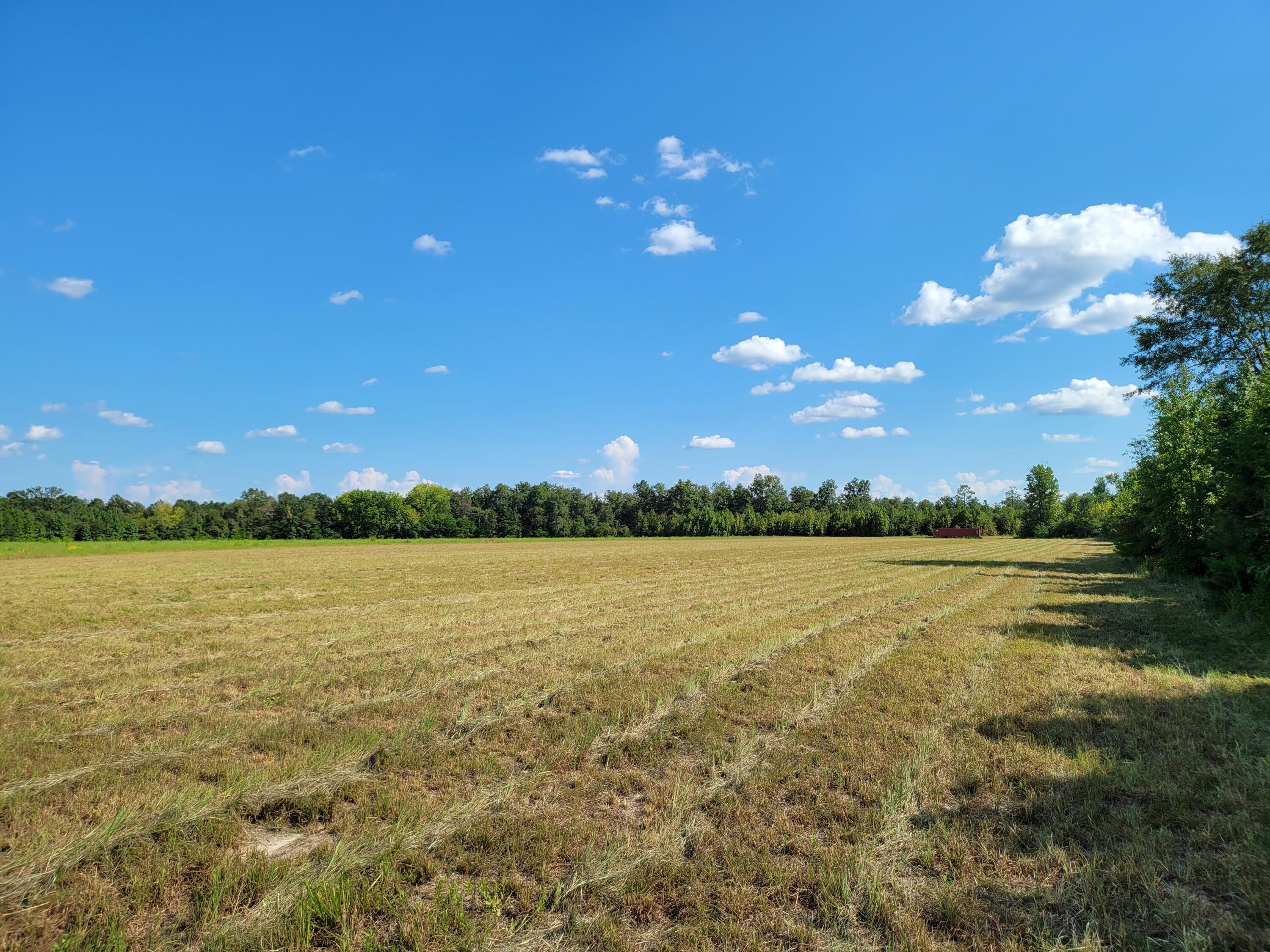 0 Tinker Creek Road Williston, SC 29853 - Photo 15 of 20