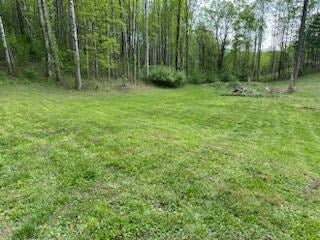 Tbd Vails Mill Road Damascus, VA 24236 - Photo 2 of 15 Gallery Image 2