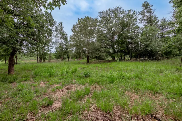 a view of outdoor space and yard