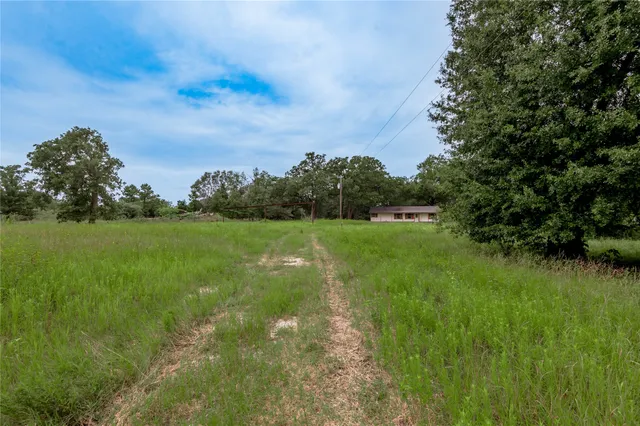 a view of a grassy field with trees in the background