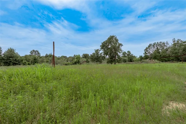 a view of a garden with a tree