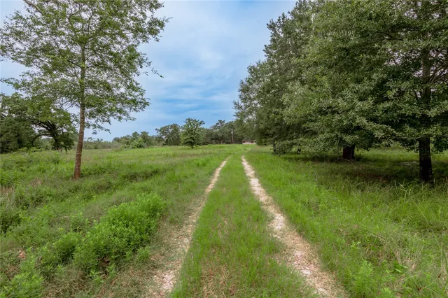 a big yard with lots of green space and trees