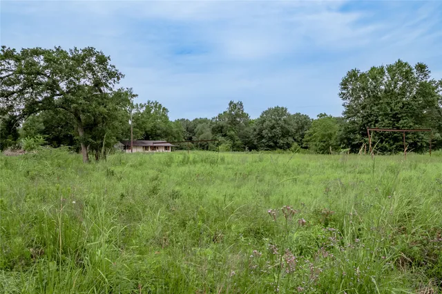 a view of a green field with lots of bushes