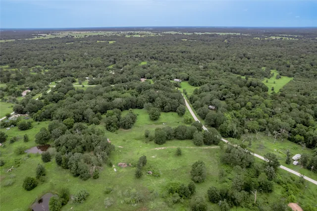 a view of a plant in a garden