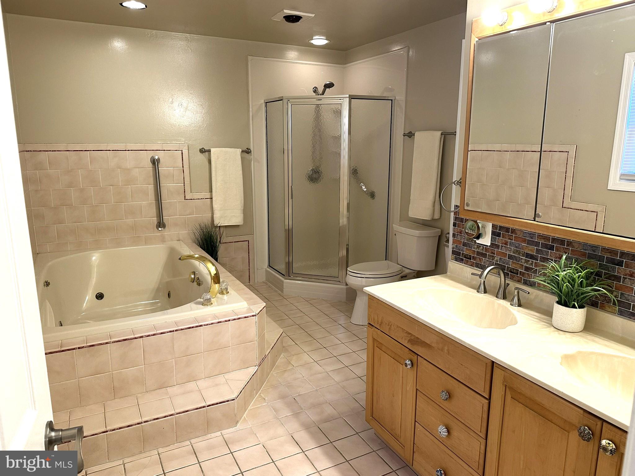 747 Elmhurst Road Severn, MD 21144 - Photo 4 of 23 Primary Bathroom