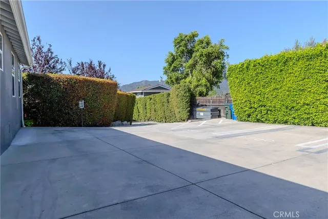 a street view with large trees